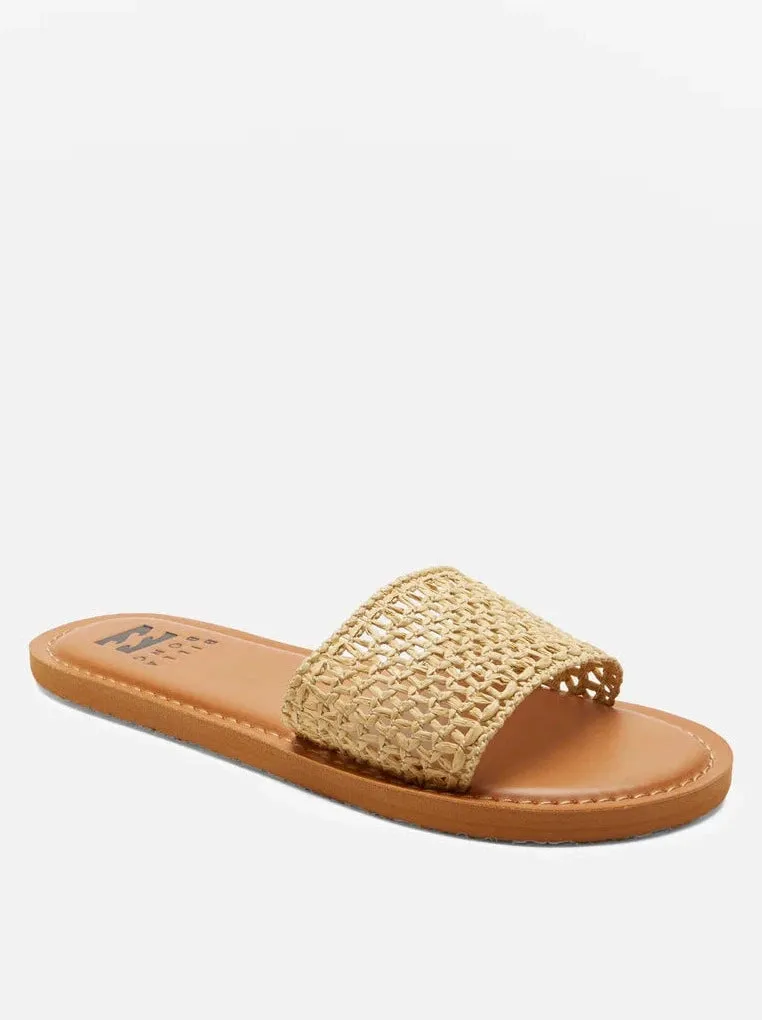 Shayne Sandal